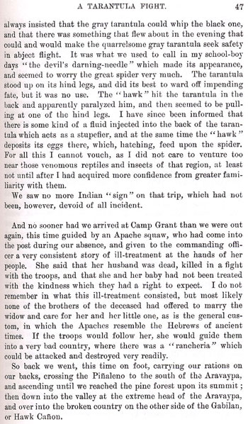 On the Border With Crook - Chapter 3