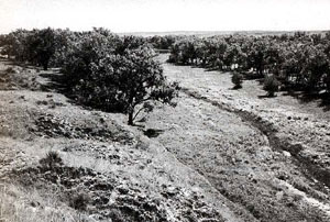 Picture of Beecher's Island