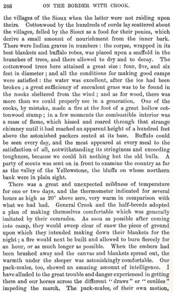 On the Border With Crook - Chapter 15