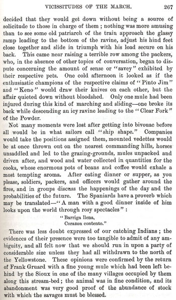 On the Border With Crook - Chapter 15