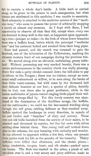 On the Border With Crook - Chapter 18