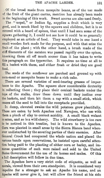 On the Border With Crook - Chapter 7