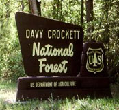 Picture at Davy Crockett National Forest