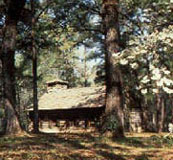 Picture at Mission Tejas