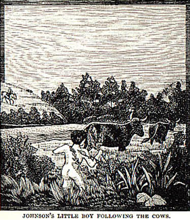 Johnson's boy picture in Wilbarger