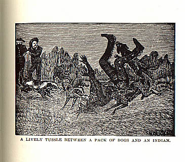 A Lively Tussle Between a Pack of Dogs and an Indian picture from the book Indian Depredations in Texas by J. W. Wilbarger