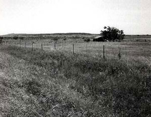 Picture of Salt Creek Prairie Fight Site