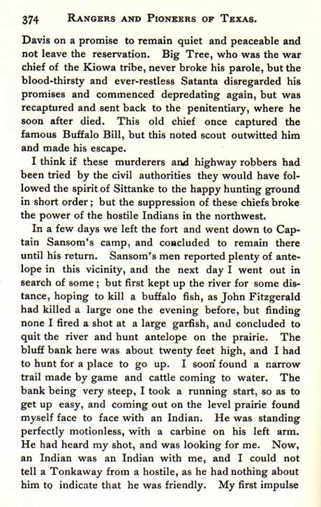 Pursuit of the Indians