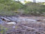 Picture of Old House Ruins at Maker Ranch