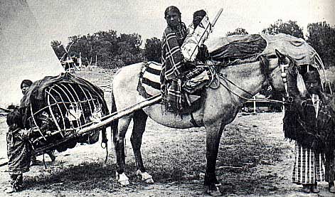 Native American children on horse with travois